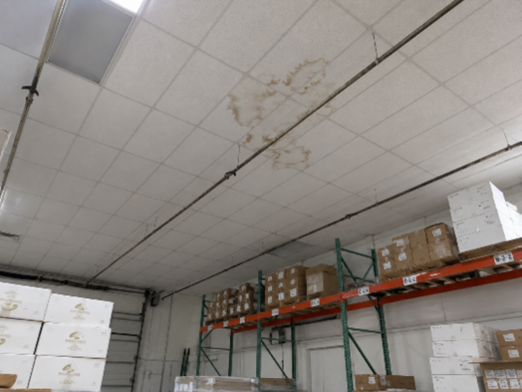 The True Cost of a Commercial Roof Leak: Why Deferred Maintenance Is the Most Expensive Choice